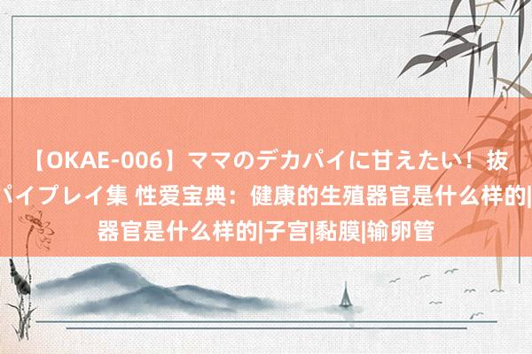 【OKAE-006】ママのデカパイに甘えたい！抜かれたい！オッパイプレイ集 性爱宝典：健康的生殖器官是什么样的|子宫|黏膜|输卵管