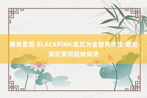 精美套图 BLACKPINK成员为金智秀庆生 晒巡演花絮照姐妹情浓