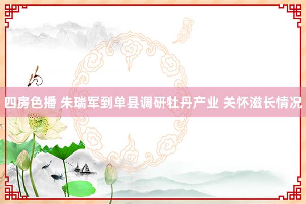 四房色播 朱瑞军到单县调研牡丹产业 关怀滋长情况