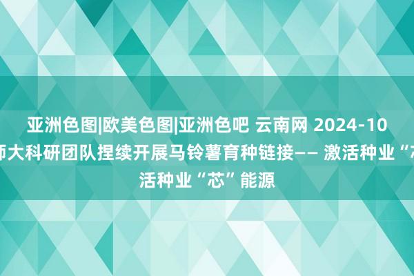 亚洲色图|欧美色图|亚洲色吧 云南网 2024-10-18 云师大科研团队捏续开展马铃薯育种链接—— 激活种业“芯”能源