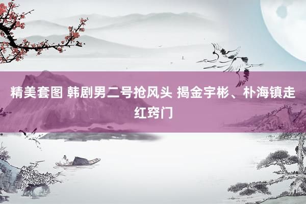 精美套图 韩剧男二号抢风头 揭金宇彬、朴海镇走红窍门