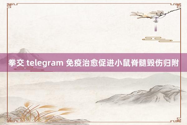 拳交 telegram 免疫治愈促进小鼠脊髓毁伤归附