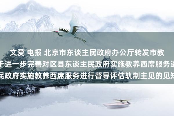 文爱 电报 北京市东谈主民政府办公厅转发市教委市政府西席督导室对于进一步完善对区县东谈主民政府实施教养西席服务进行督导评估轨制主见的见知