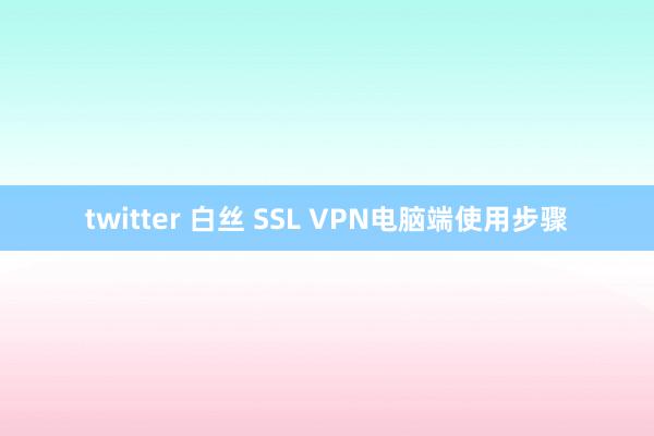 twitter 白丝 SSL VPN电脑端使用步骤