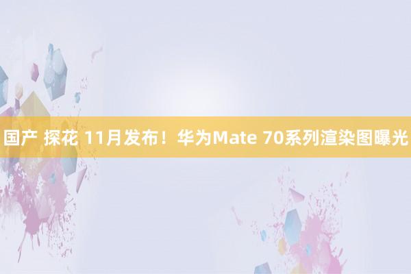 国产 探花 11月发布！华为Mate 70系列渲染图曝光