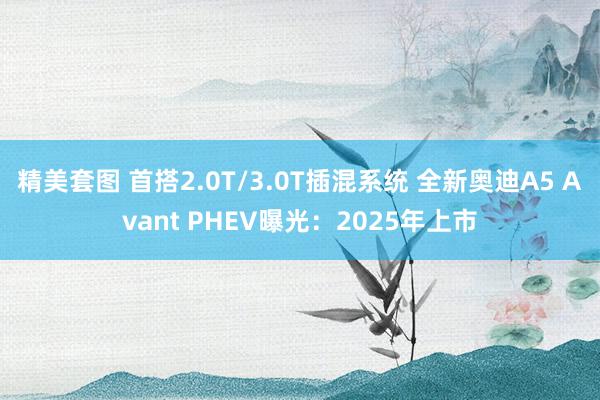 精美套图 首搭2.0T/3.0T插混系统 全新奥迪A5 Avant PHEV曝光：2025年上市