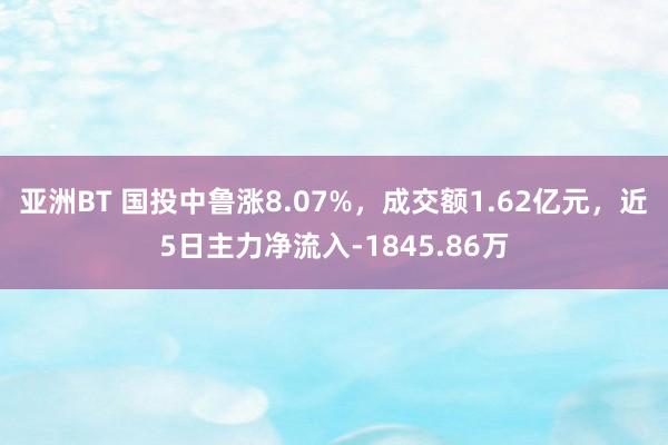 亚洲BT 国投中鲁涨8.07%，成交额1.62亿元，近5日主力净流入-1845.86万