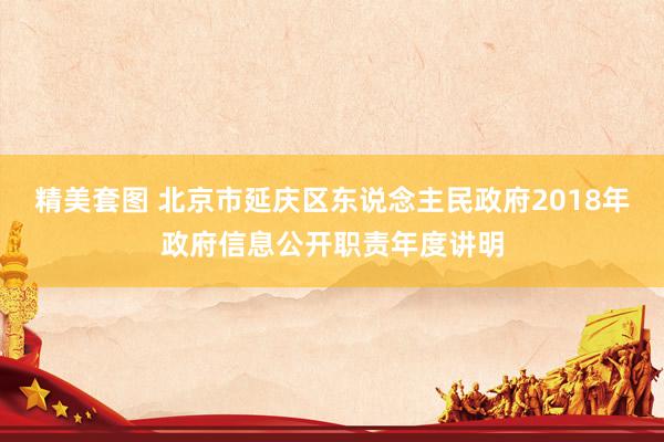 精美套图 北京市延庆区东说念主民政府2018年政府信息公开职责年度讲明